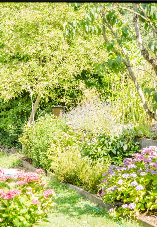 Garten | &copy; Fam. Junker