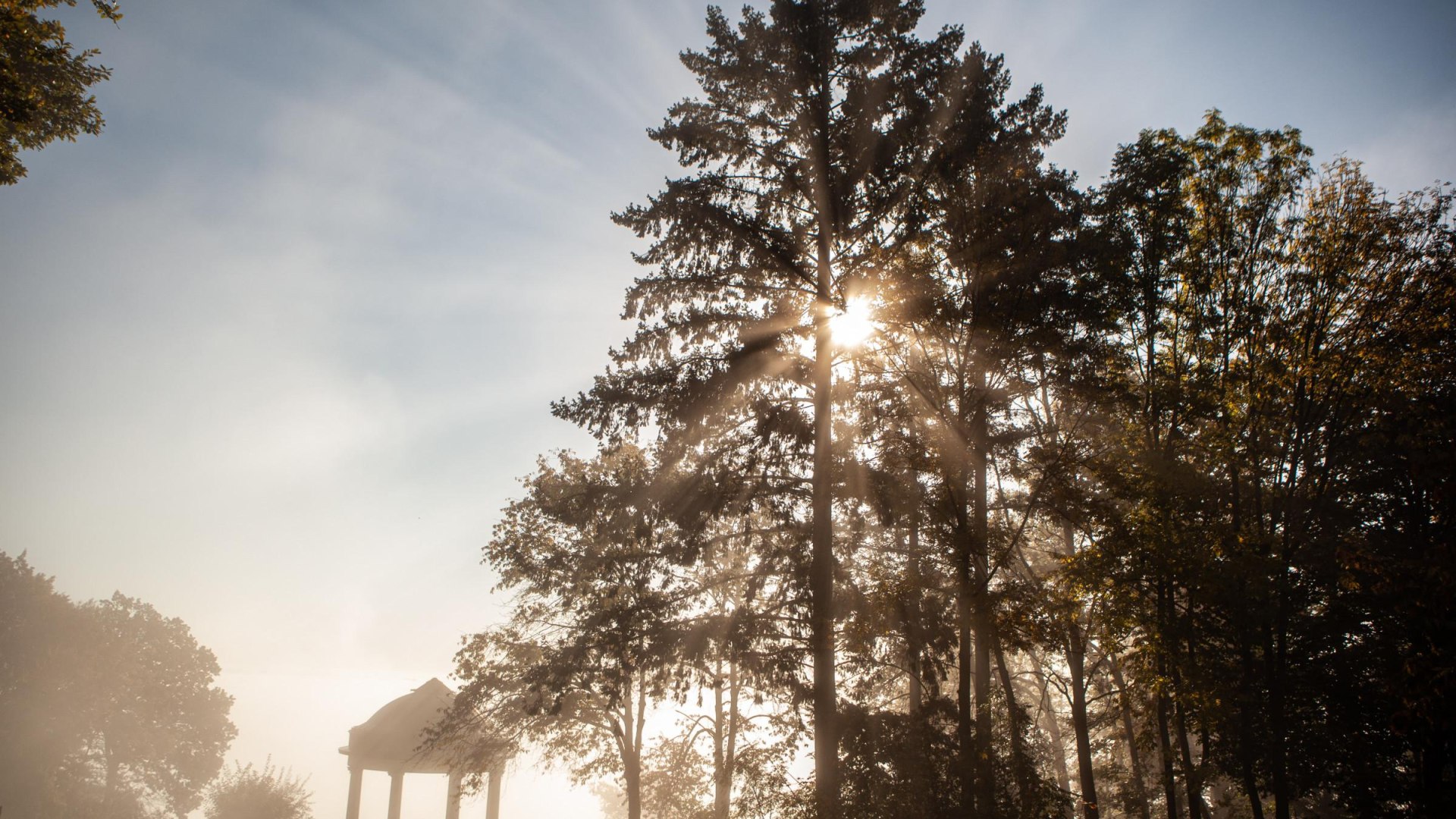 Osteinscher Niederwald Park | © HA Hessen Tourismus, k22 Osteinscher Niederwald Park | © HA Hessen Tourismus, k22