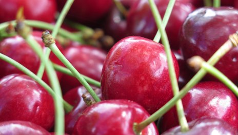 Kirschernte | &copy; ZV Welterbe