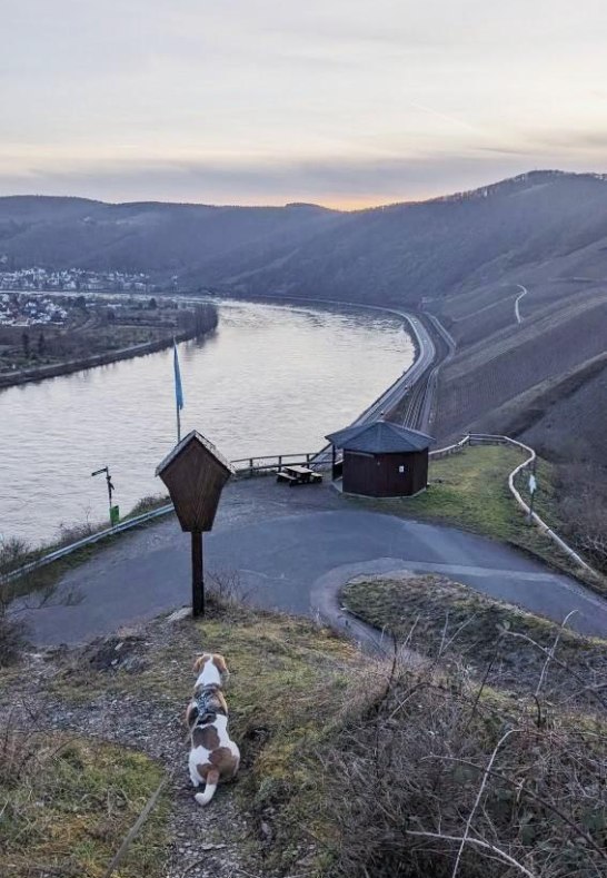 Bopparder Hamm Mandelsteinhütte | © Tourist Information Boppard Bopparder Hamm Mandelsteinhütte | © Tourist Information Boppard