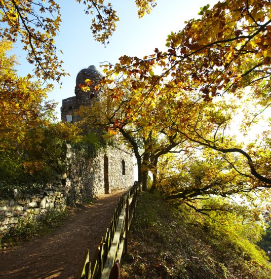 Ostein`scher Park | &copy; O. Szekely