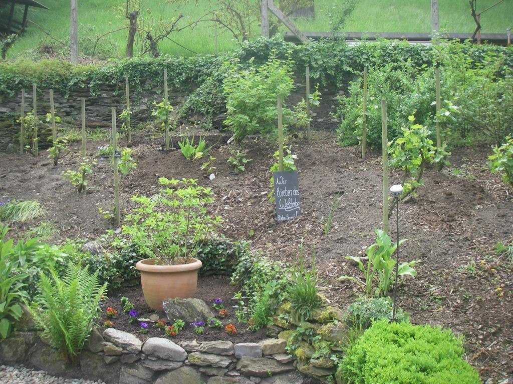 Neubeflanzung | © Landgasthof Zum weissen Schwanen Neubeflanzung | © Landgasthof Zum weissen Schwanen