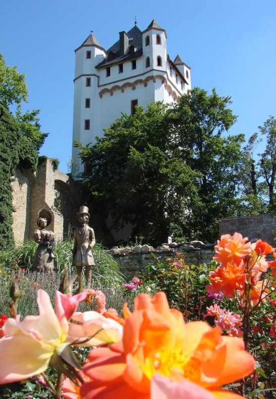 Kurfürstliche Burg Eltville Rosen | © Kurfürstliche Burg Eltville Kurfürstliche Burg Eltville Rosen | © Kurfürstliche Burg Eltville