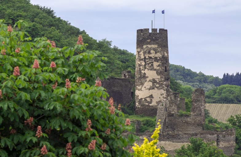 F&uuml;rstenberg im Fr&uuml;hjahr | &copy; Friedrich Gier