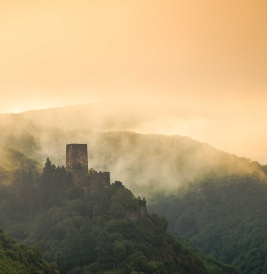 Burg im Morgenlicht | &copy; P!EL