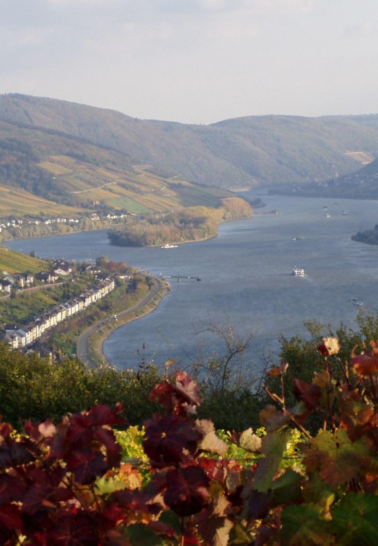 Rhein und Weinberge im Herbst | &copy; Ingrid Kachel