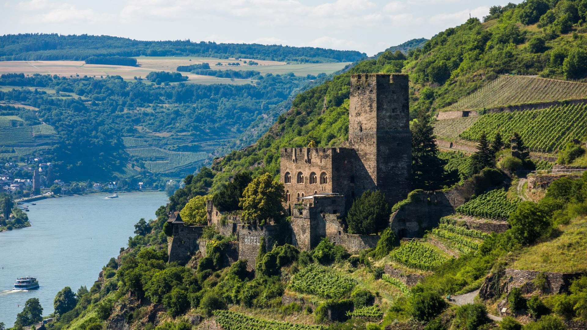 Burg Gutenfels inmitten der Weinberge | &copy; Henry Tornow/Romantischer Rhein Tourismus GmbH