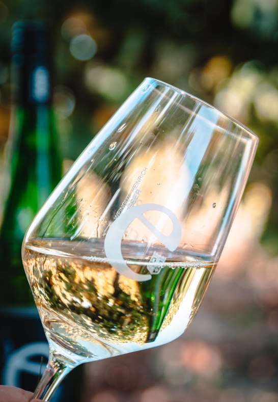 Weinlese Eser 2020 (136 von 377) | © Weingut Eser
