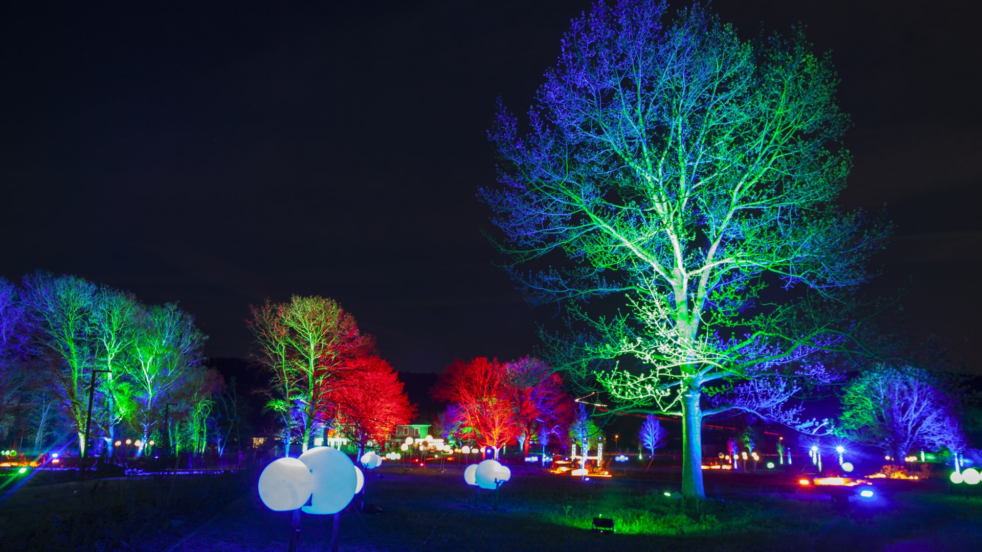 rheinleuchten: Loreley 2019 | © Lucky Luxem rheinleuchten: Loreley 2019 | © Lucky Luxem