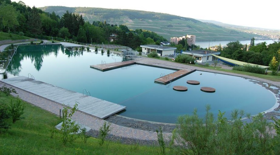 Naturerlebnisbad Bingerbr&uuml;ck | &copy; Dominik Tomaszewski