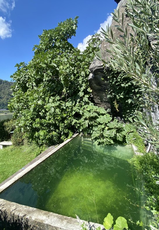 SN Pool SN Pool
