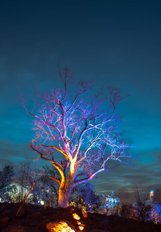 rheinleuchten: Loreley 2019 | &copy; Lucky Luxem