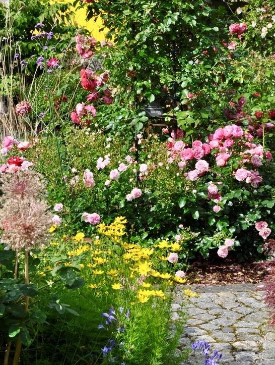 Bl&uuml;tenmeer im Hausgarten Feuerpfeil | &copy; Zweckverband Welterbe Oberes Mittelrheintal