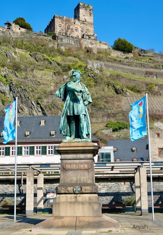 DSC03453 | © AnyaFi