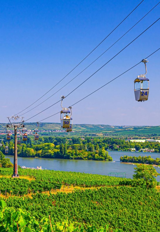 iStock-1294245948 | &copy; Aliaksandr Antanovich, iStock