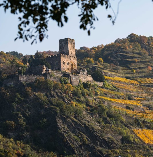 Gutenfels | &copy; P!EL