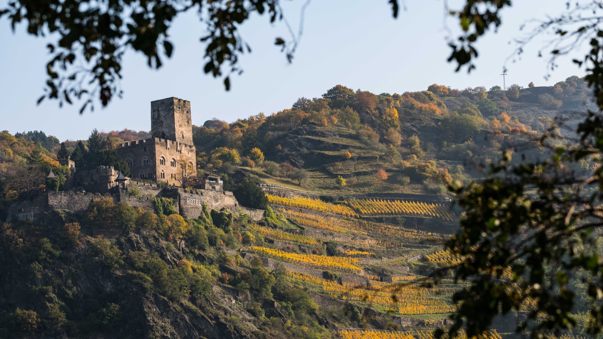 Gutenfels | &copy; P!EL