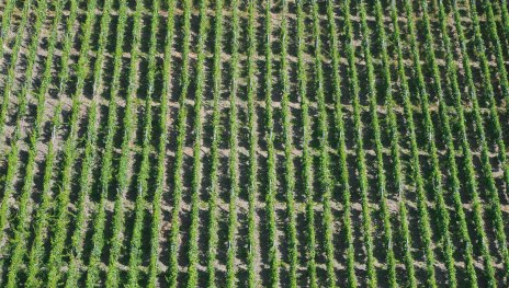 Steillagen_Treffen | &copy; Piel Media