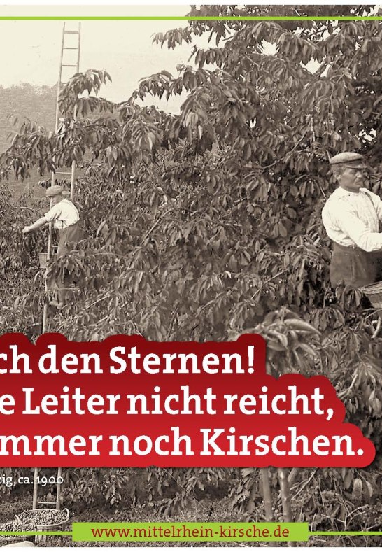 Greif nach den Sternen! Wenn die Leiter nicht reicht, hast du immer noch Kirschen. | © ZV Welterbe / Christian Büning Greif nach den Sternen! Wenn die Leiter nicht reicht, hast du immer noch Kirschen. | © ZV Welterbe / Christian Büning