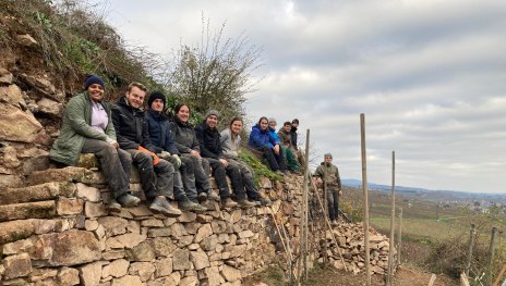 Trockenmauerbau in R&uuml;desheim | &copy; ZV Welterbe Oberes Mittelrheintal