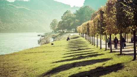 Rheinufer | &copy; P!EL