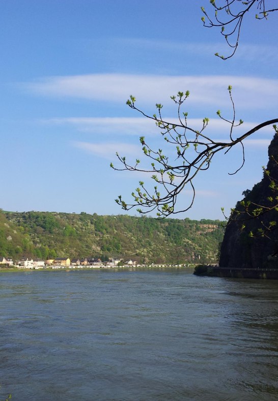 Loreleyfelsen | &copy; Margit Gronen