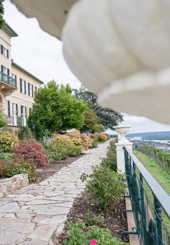 Schloss Johannisberg_Aussicht_Saskia Marloh | © RTKT, Saskia Marloh Schloss Johannisberg_Aussicht_Saskia Marloh | © RTKT, Saskia Marloh