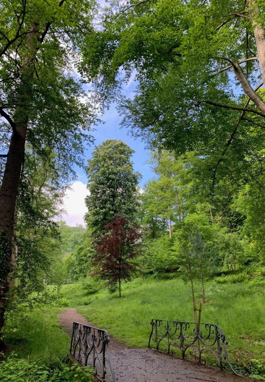 Marienberger Park 3 | &copy; Tourist Information Boppard