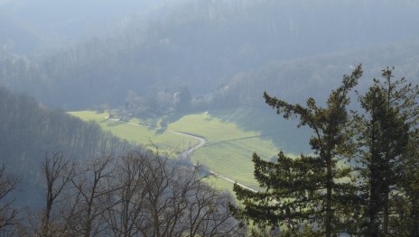 Blick vom Balkon in den gr&uuml;nen Heilwald | &copy; Schr&ouml;ter-Bukvic