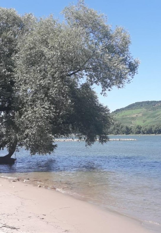 Rheinstrand | © Elke Schmäl, Kisselbach