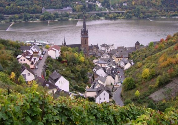 Lorchhausen von oben | &copy; Brigitte Nies