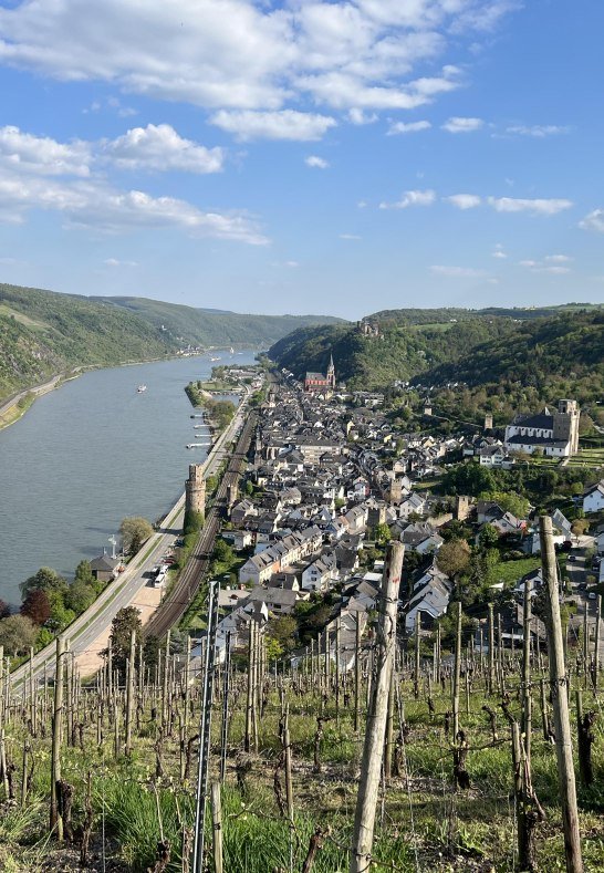 10 Fewo - Blick auf die Stadt Oberwesel | &copy; Fam. Hartel, Dellhofen