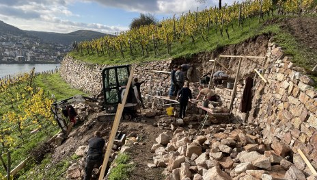 Trockenmauerbau in R&uuml;desheim | &copy; Norbert Sehmer, Hochschule Geisenheim