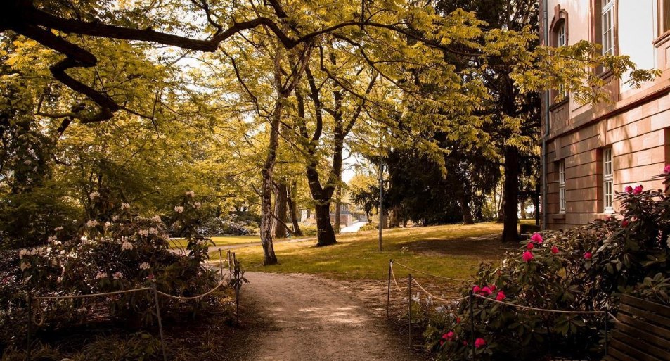 Schlosspark | © Johannes Bruchhof Schlosspark | © Johannes Bruchhof