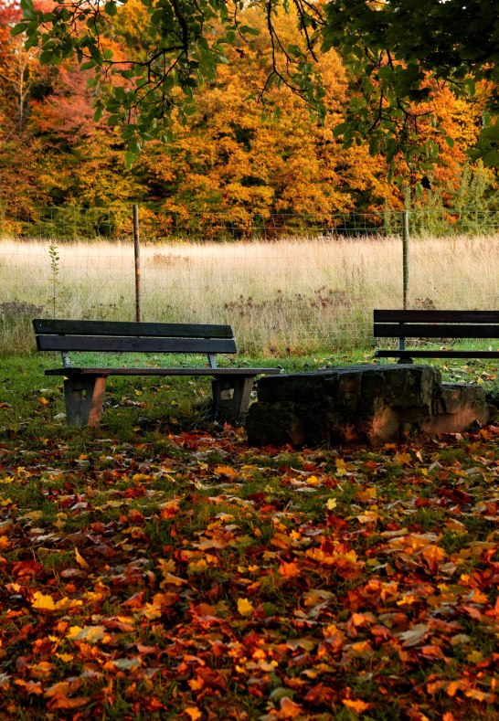 Herbst am Remstecken | &copy; Johannes Bruchhof