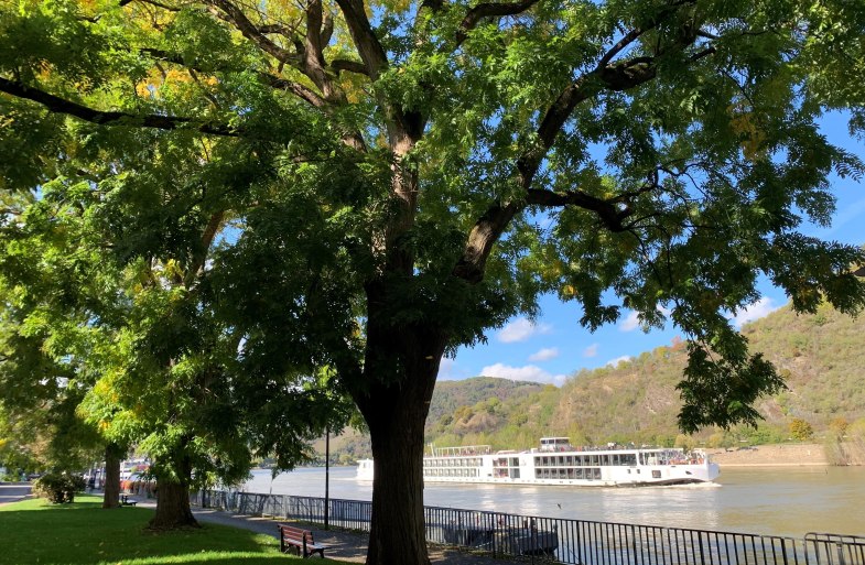 Rheinallee | &copy; Tourist Information Boppard