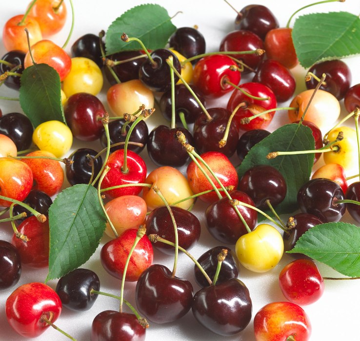 Kirschmischung | © ZV Welterbe Kirschmischung | © ZV Welterbe
