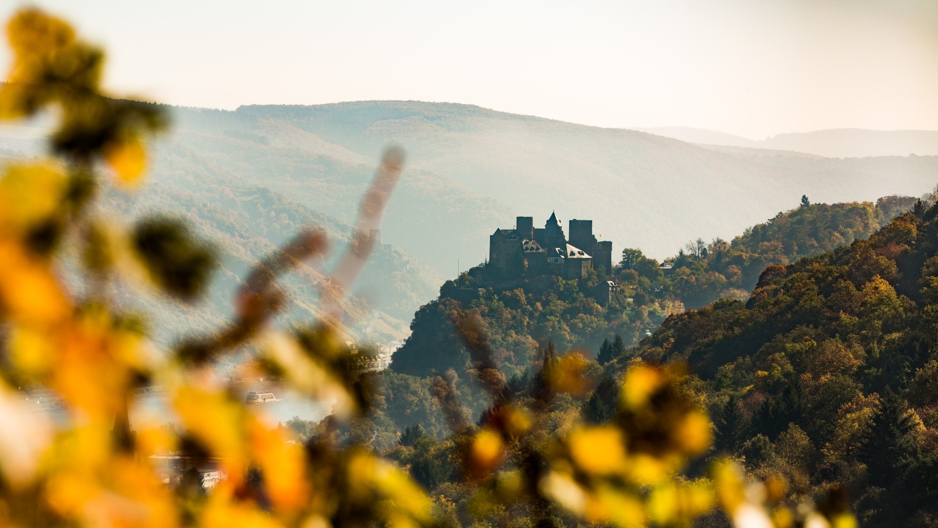 Blick auf die Sch&ouml;nburg | &copy; Henry Tornow