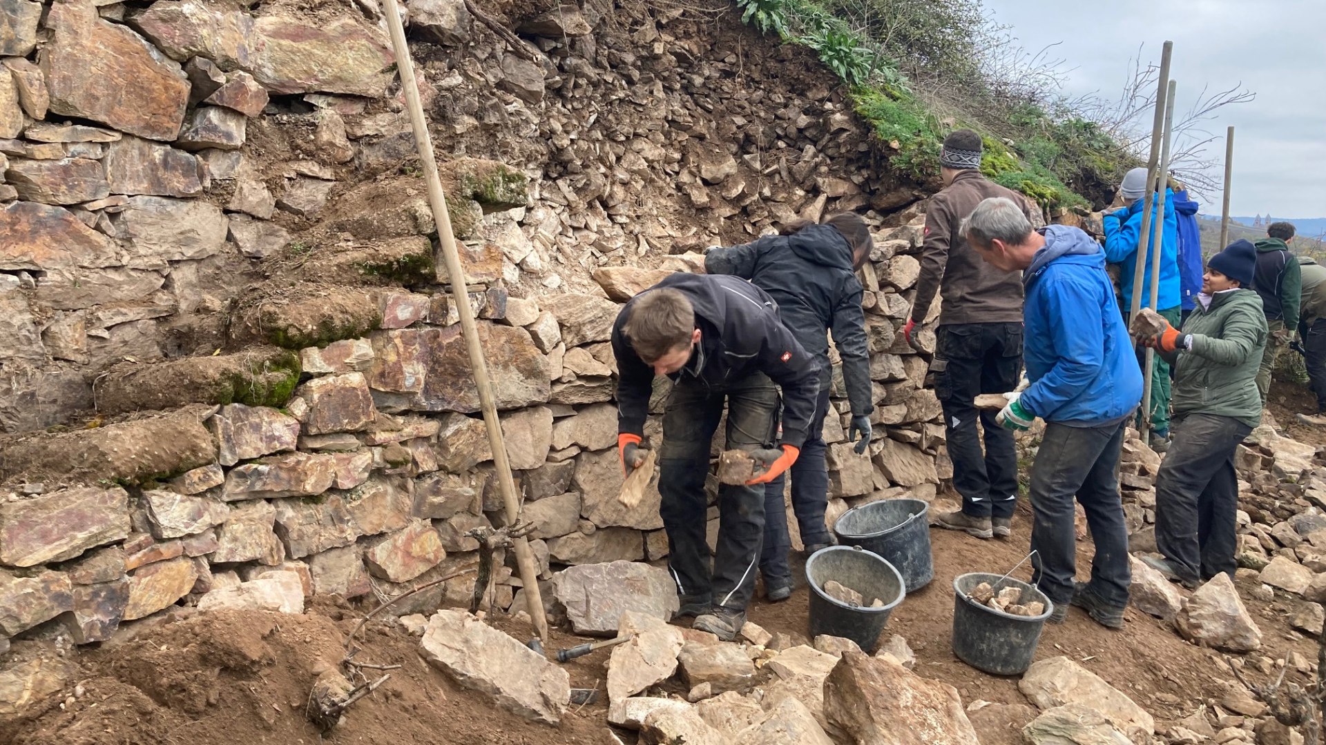 Trockenmauer werden von Studenten aus Geisenheim erneuert. Trockenmauer werden von Studenten aus Geisenheim erneuert.