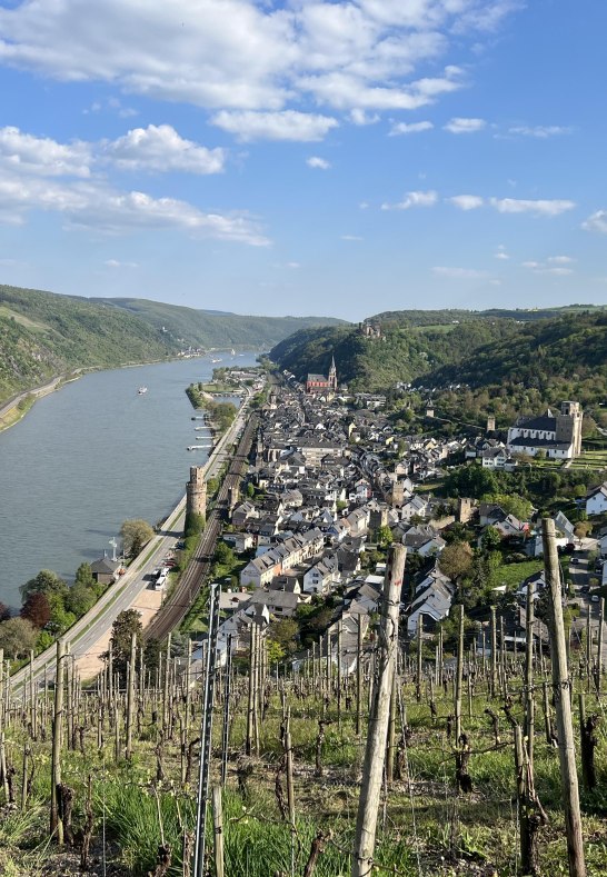 10 Fewo - Blick auf die Stadt Oberwesel | © Fam. Hartel, Dellhofen
