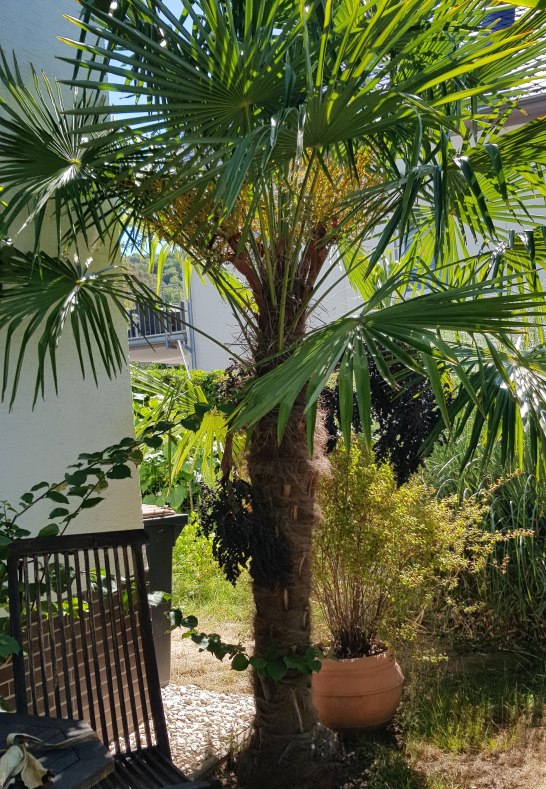 Kleiner Garten mit Sitzgelegenheit | &copy; M. Schwirzheim