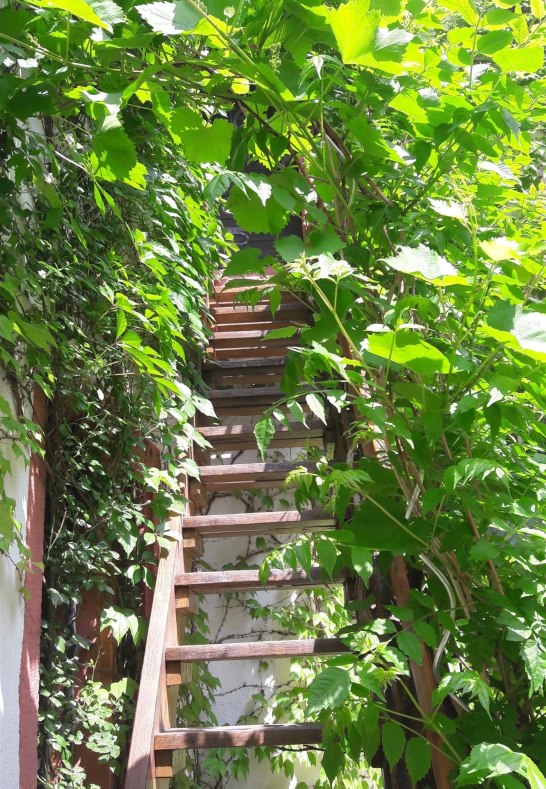 Schloss Martinsburg Innenhof | © Harald Romberg
