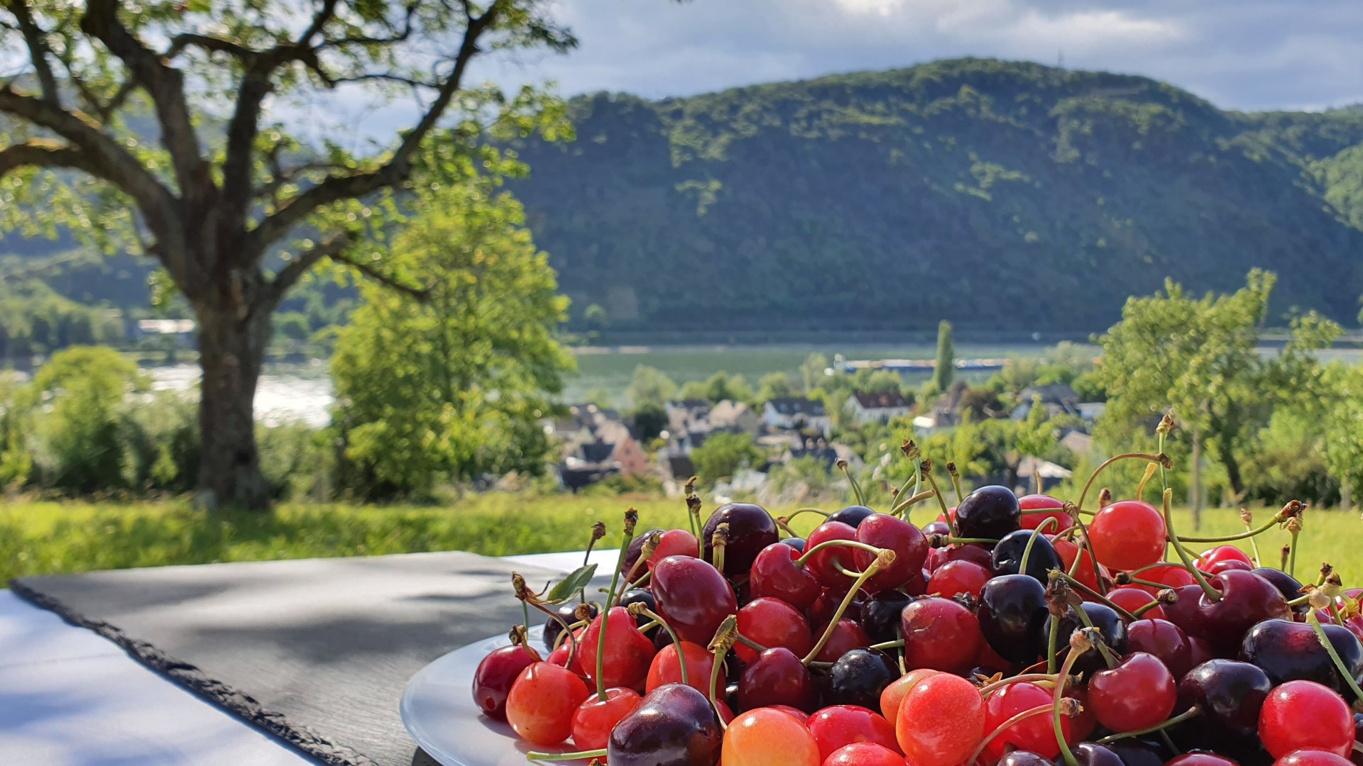 Kulinarische Genusswanderung  | © ZV Welterbe Oberes Mittelrheintal