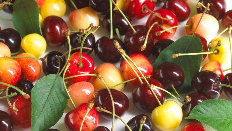 Kirschmischung | &copy; ZV Welterbe