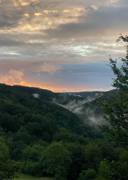 Aussicht Tal | &copy; Rheingoldsch&auml;nke