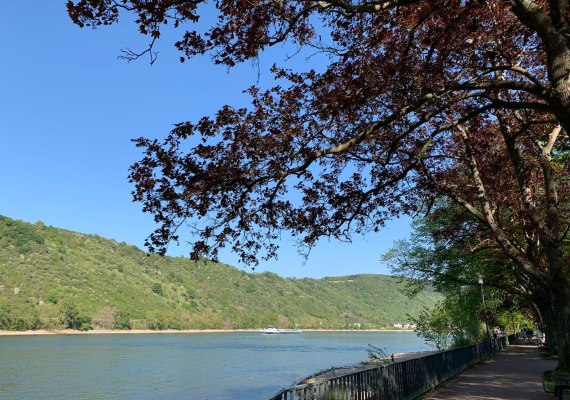 Rheinanlagen | &copy; Kathrin Gipp