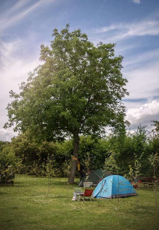 Zeltplatz | &copy; Campingplatz G&uuml;lser Moselbogen