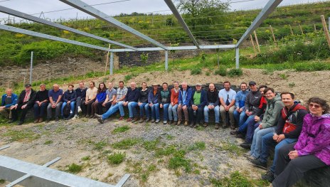 Im Weinberg bei Lorch | &copy; ZV WOM