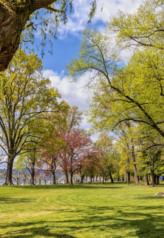 Hafenpark 4 | &copy; Rheingau- Taunus Kultur und Tourismus GmbH