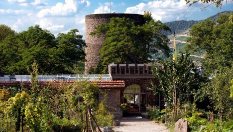 Burgg&auml;rtnerei | &copy; Nicole Meisinger